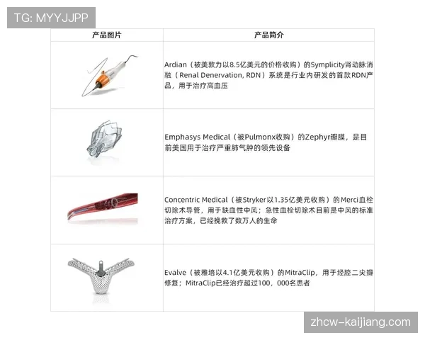 品牌赛事孵化周期缩短 标准化流程提升创办效率